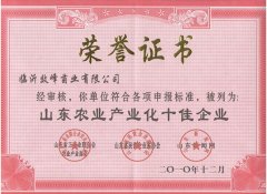 山东农业产业化十佳企业